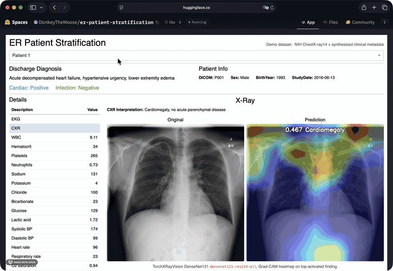 Patient Info disease prediction dashboard screen recording
