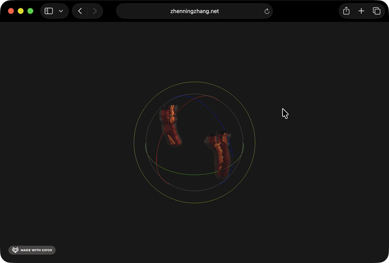 Plaque 3D viewer screen recording